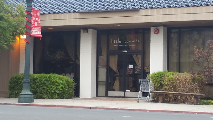 Little Sprouts Academy in San Diego offers nurturing early childhood education focused on creativity and school readiness on Adams Avenue.