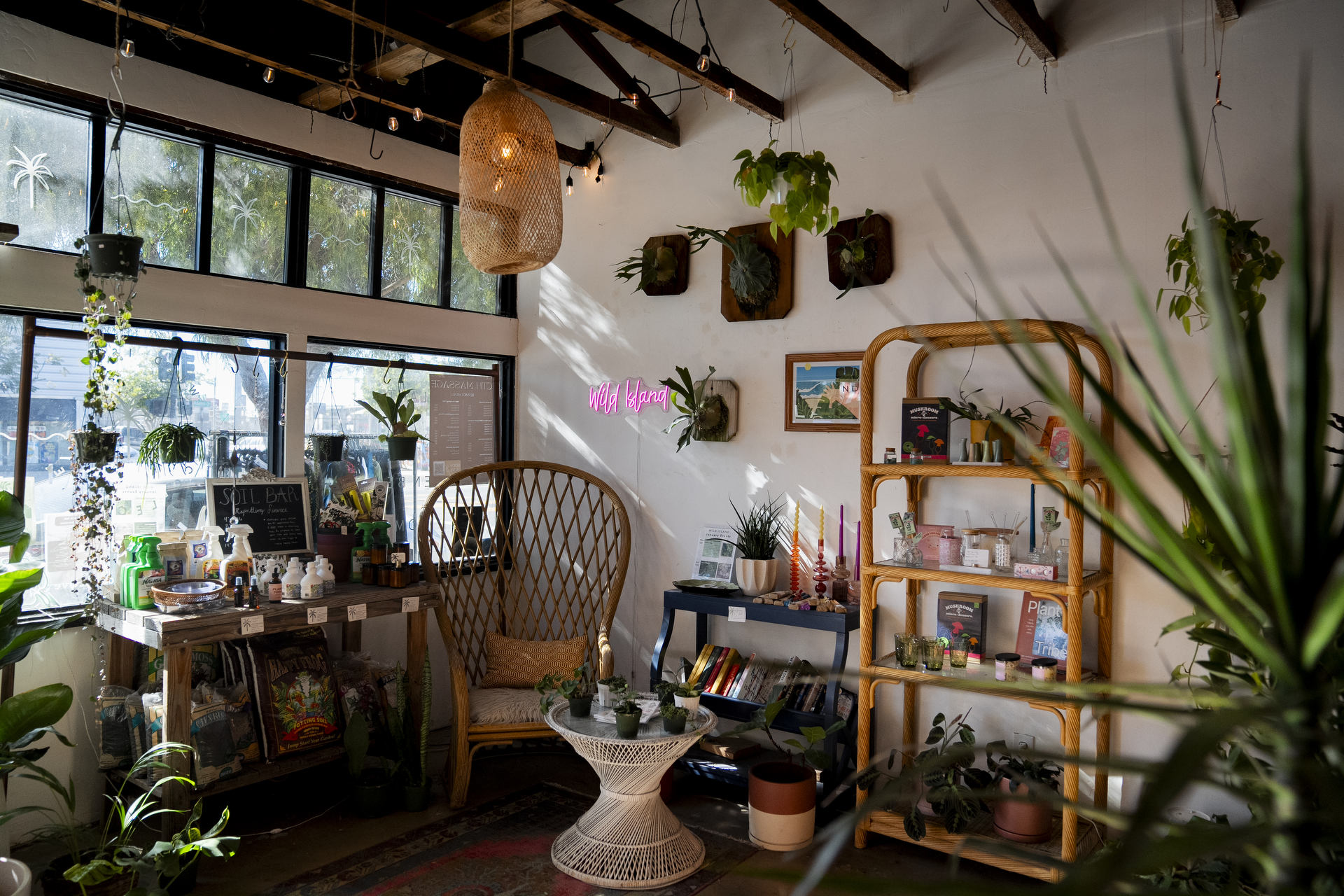 People shop inside Wild Island Plant Shop